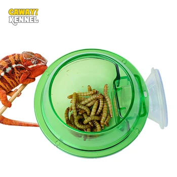 Arboreal Rettile Live Anti-fuga Ventosa Alimentatore Camaleonte Cibo Bacino Parete Doppio Strato Ciotole di Plastica per Piccoli Animali D9210