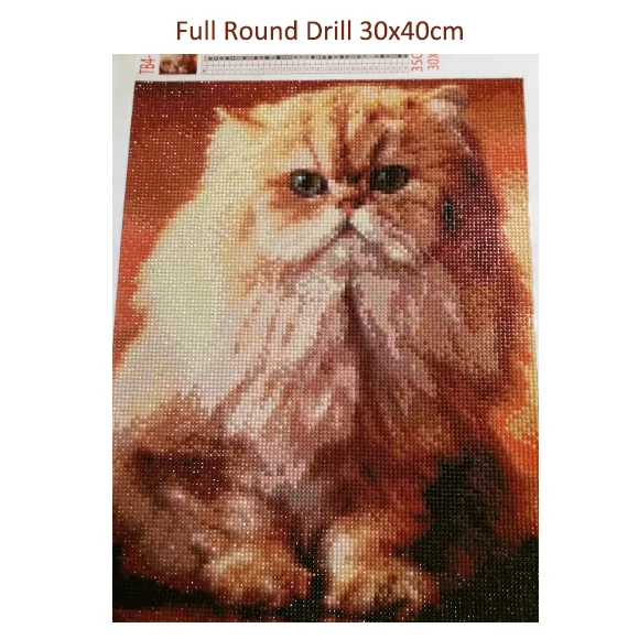 Diamond Painting Kit Evershine Diamond Embroidery Cat 5D DIY Animals Cross Stitch for Home Decoration
