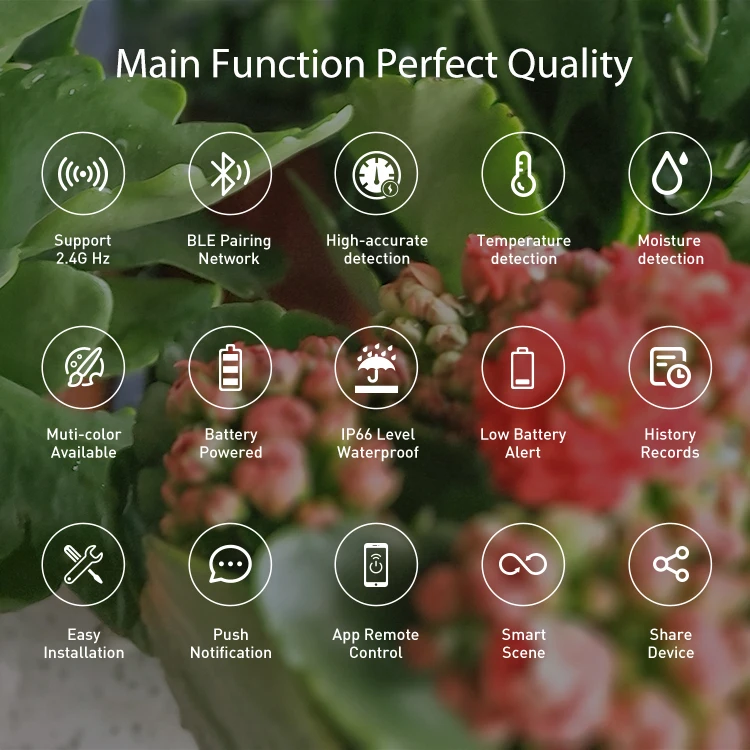Tuya Smart Bodentester WLAN Bodenfeuchtigkeitsmesser Temperatur- und Feuchtigkeitsmesser Garten-Thermometer – Detail 5