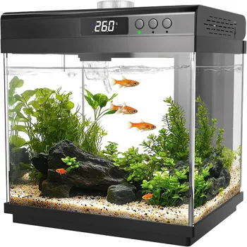 Small Glass Aquarium Starter Kit 1