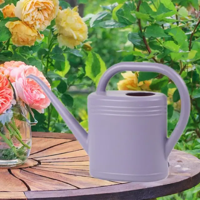 Watering Can Water Can for Plants with Sprinkler Head 2L Long Mouth Watering Can Flower Watering Can for Outdoor House Plant 3