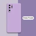 Grass Purple