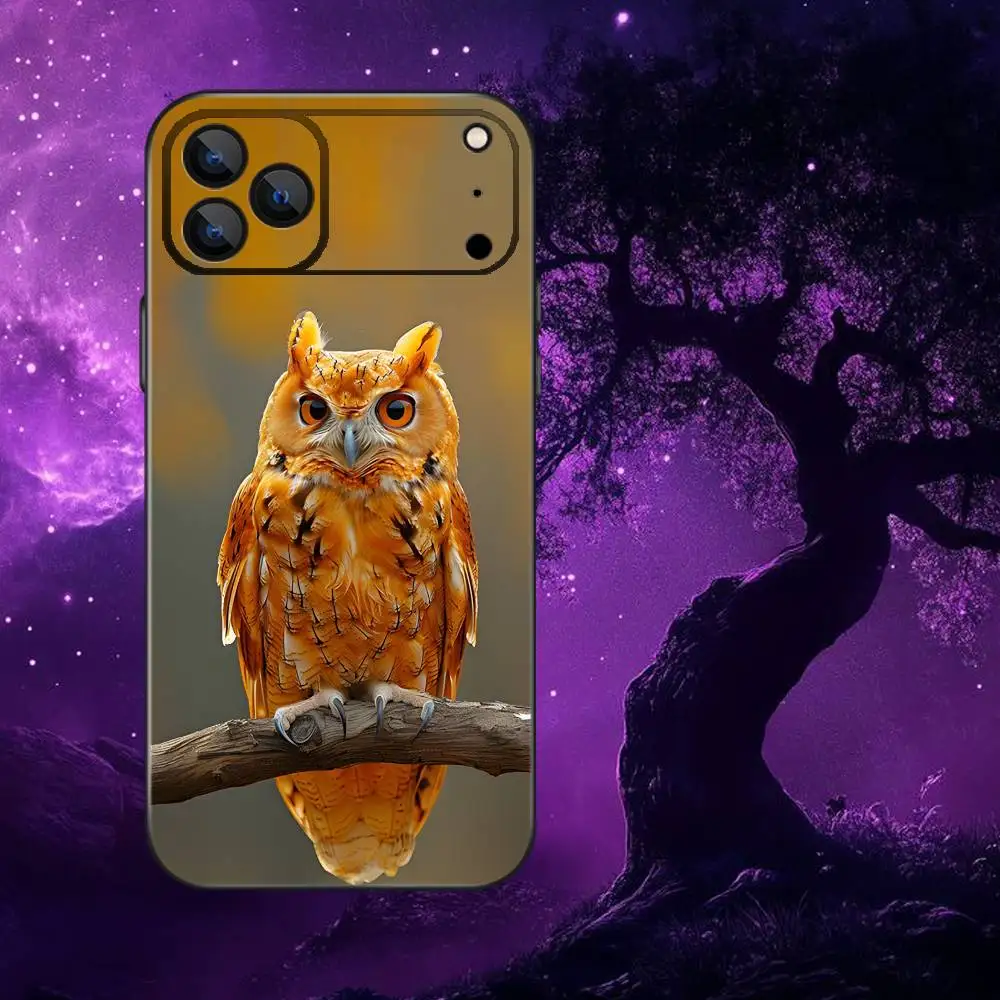 Adorable Owl Black Soft Phone Case Box