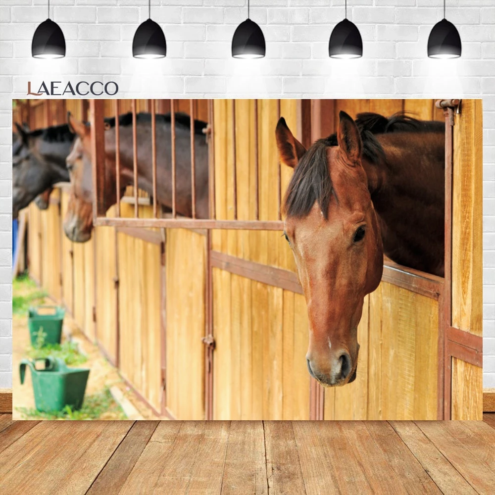 Laeacco ߻   ,  ð 縷  ,   Ƽ ʻȭ  