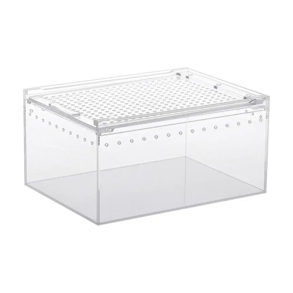 Tortuguera Grande Xl Topspitgo Terrario De Caracoles,Caja De Transparente  Terrario Reptiles, image size:1000x1000