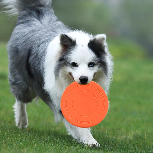 Frisbee Toy for Your Dog 5