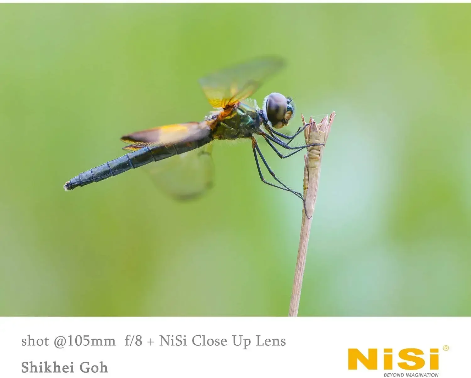 NiSi Close Up Lens Kit NC 77mm (with 67 and 72mm adaptors) 58mm (with 49 and 52mm adaptors) Macro lens amplifier 5