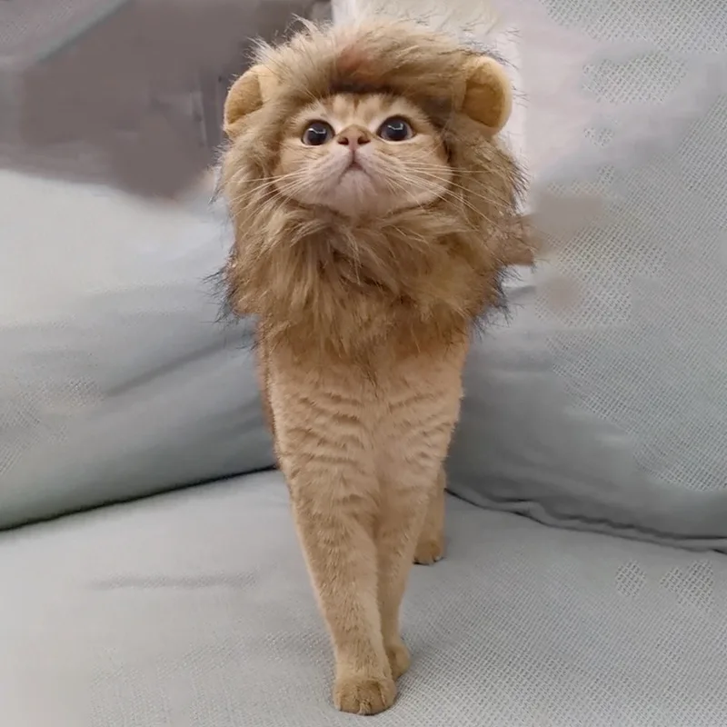 Cat Lion Mane Halloween Costume Lion Costume Cat Cosplay Dress Up Pet Hat for Small Cats and Kittens Party Decoration Wholesale