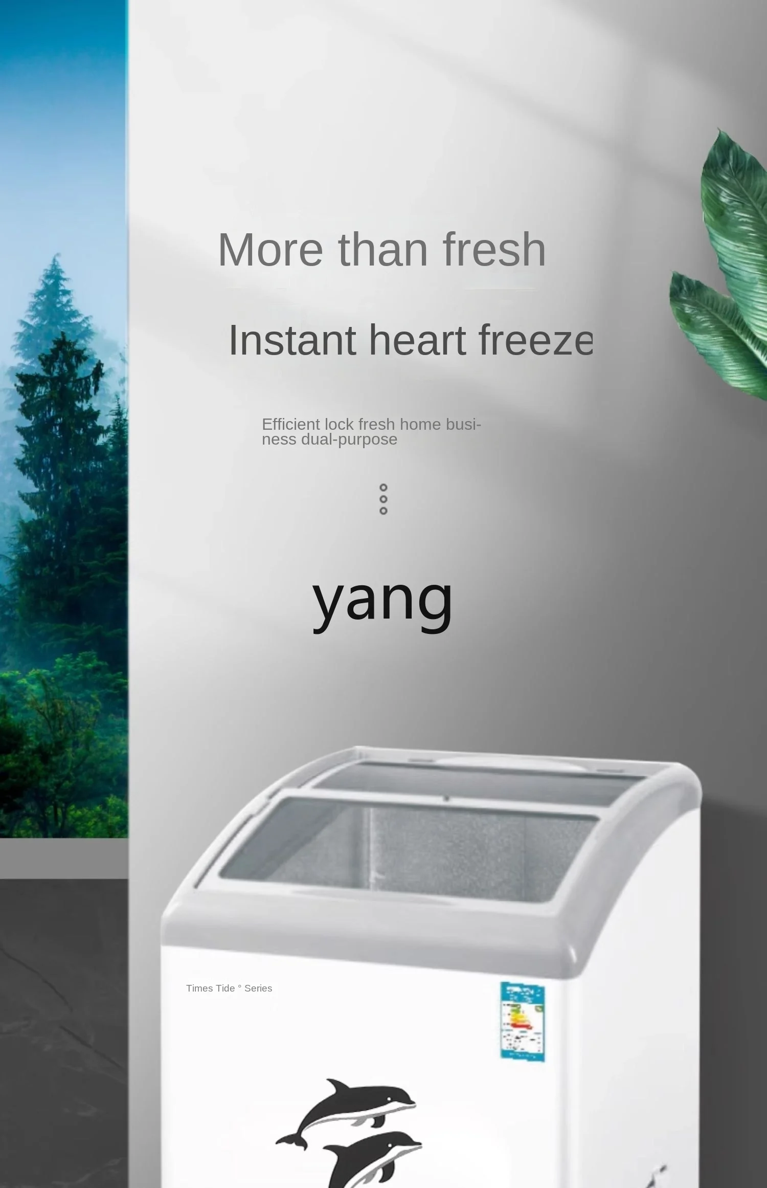 L'm'm Display Cabinet Freezer Large Capacity Arc Cabinet Freeze Storage Commercial Freezer