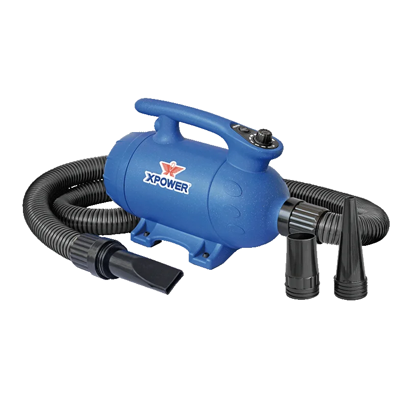 

Professional Noise Reduction Pet Hair Dryer, Bath, Negative Ion Body, Dog Grooming, High Power, Household Use