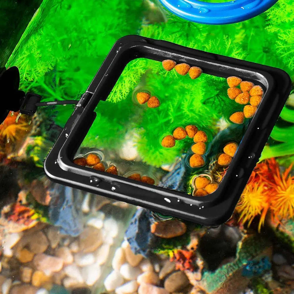 Fish Food Feeding Ring Aquarium Fish Tank Feeder Tropical Food Feeding Assistant Pet Aquarium Accessories fish feeding ring