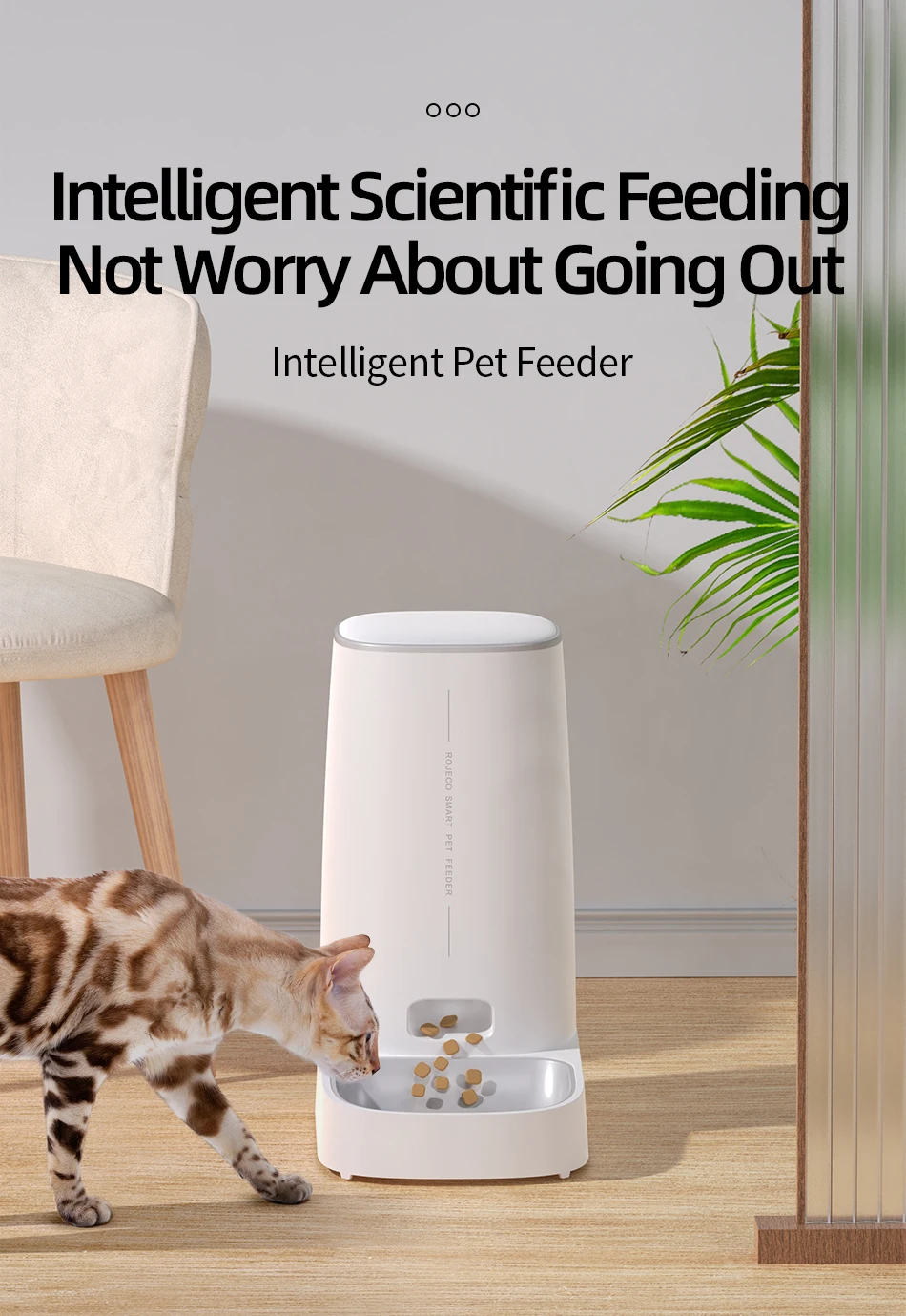 ROJECO Automatischer Katzenfutterautomat für Haustiere, intelligentes Katzenfutter, Kibble-Spender, Fernbedienung, WiFi-Taste, automatischer Futterautomat für Katzen, Hundezubehör – Detail 2
