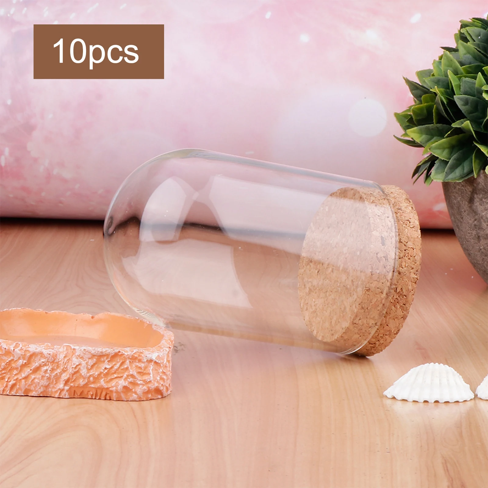 Glass Display Dome 10x Transparent Display Dome with Wooden Base Birthday Gift Protective