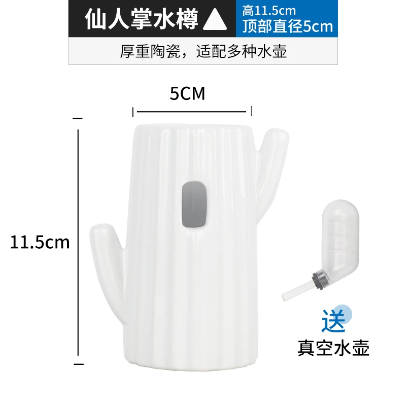 Cactus Kettle 2