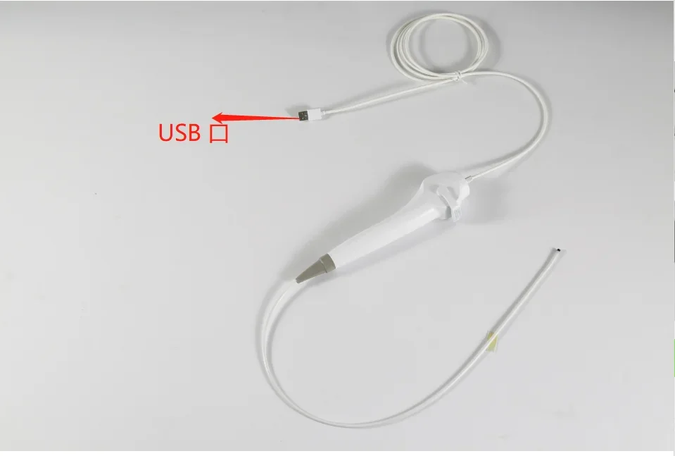

2024 носогарyngoscope Китай BESDATA портативный низкая цена Гибкая эндоскопия 3,8 мм HD риноларингоскоп для обследования диагностики