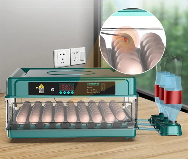 Incubateur d Oeufs Enti rement Automatique Pivotant Mod le Tournant Couveuse pour Oeufs de Poulet Caille