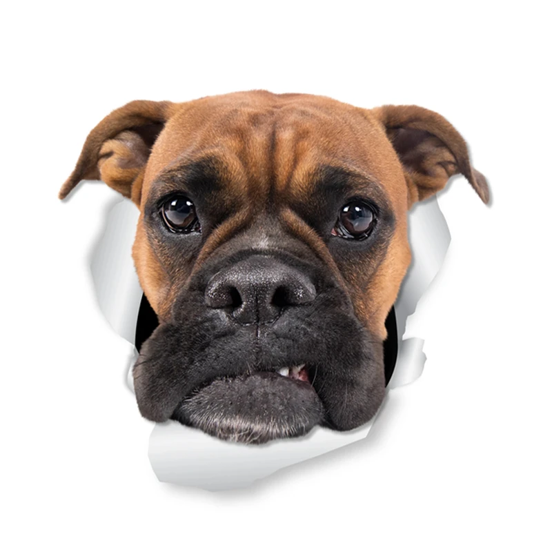 

Funny Boxer Dog Car Sticker Vinyl Decal Waterproof Accessories on Bumper Rear Window Laptop