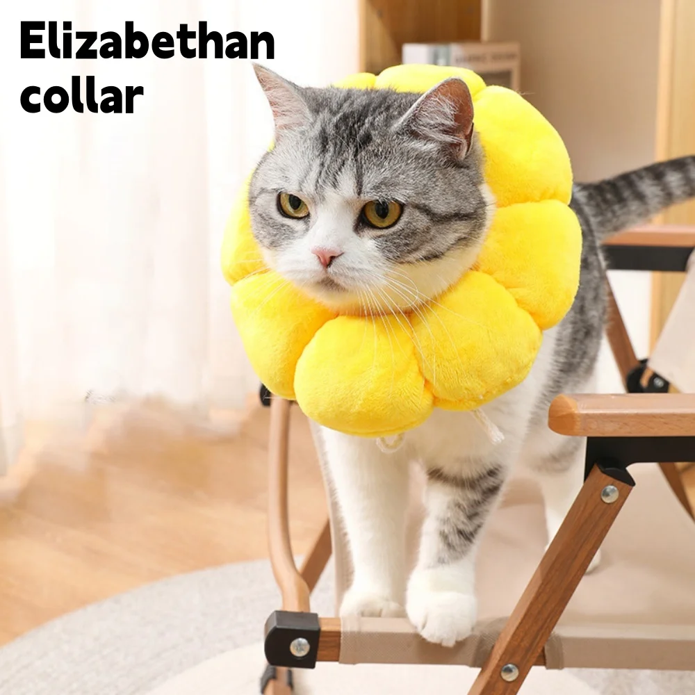 Sunflower Pet Elizabethan Collar 3