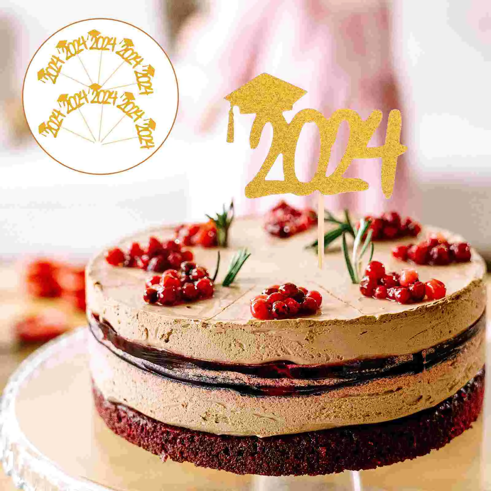 

10pcs Graduation Cupcake Toppers Cake Pick Decoration Topper 2024 Graduation Party Toppers