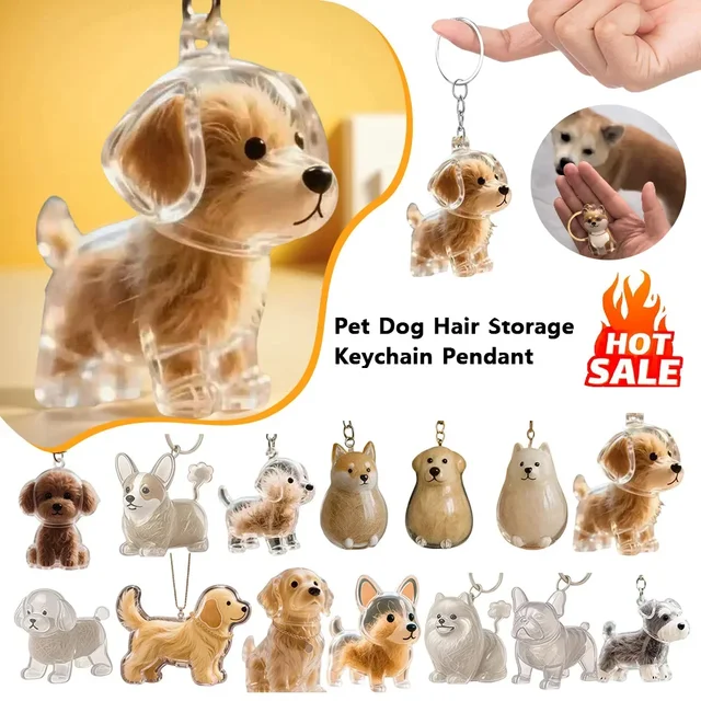 Conteneur Transparent de stockage de poils de chien, Adorable pendentif de Capsule de souvenir d'animal de compagnie avec porte-clés pour les amoureux des animaux de compagnie, porte-clés commémoratif DIY