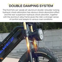 Vélo Électrique Rétro de 20 Pouces, 750W, 48V, avec Batterie Parfaite, pour Homme et Femme 5