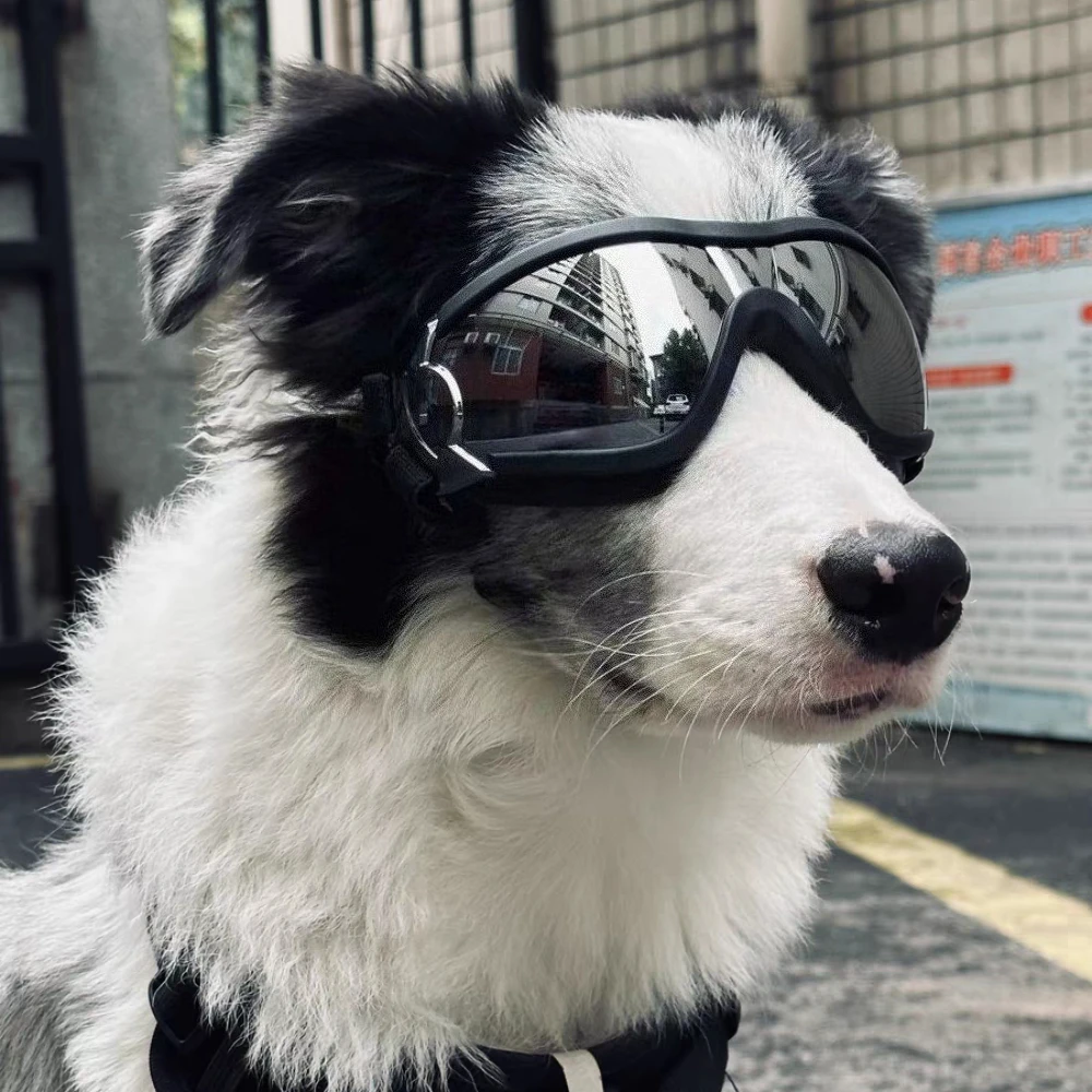 Waterproof Dog Winter Coat 3