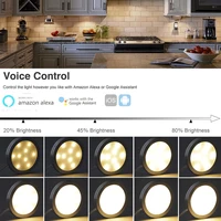 Juego completo de luces para debajo del gabinete, DC12V, Tuya, Wifi, Control remoto por infrarrojos, lámpara LED regulable de un solo Color/RGB/CCT, luces de cocina, decoración del hogar - Imagen 4