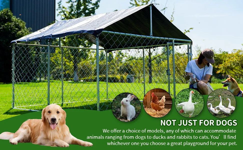 dog cage