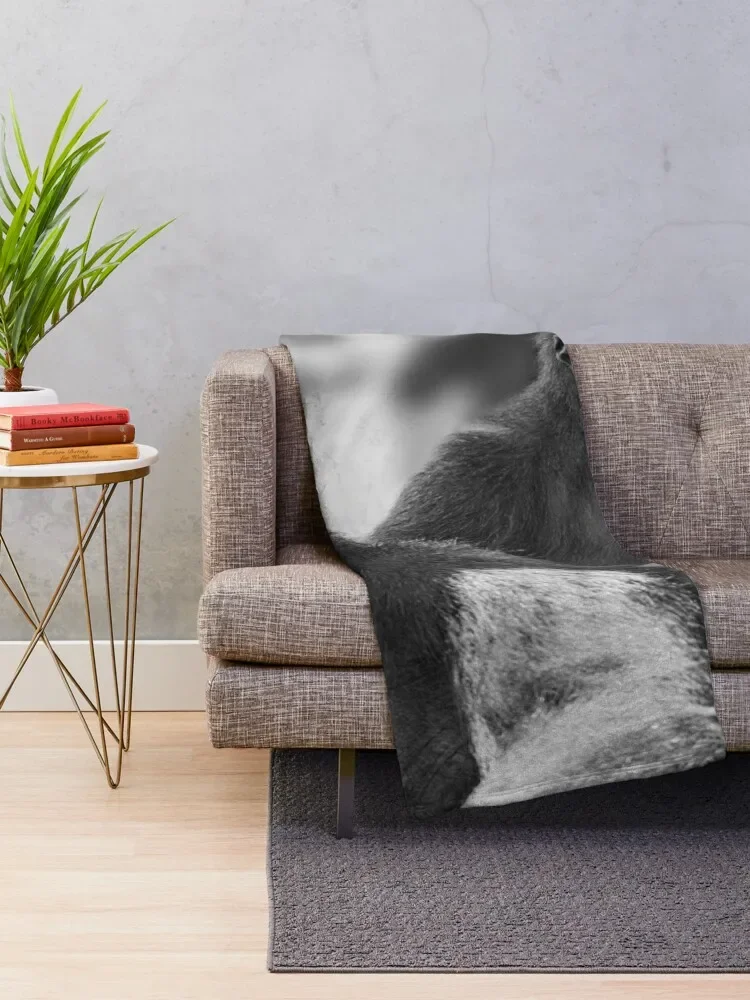 ������ ������ ������ ���, ���Ŀ� ���� ���, ǫ���� ����