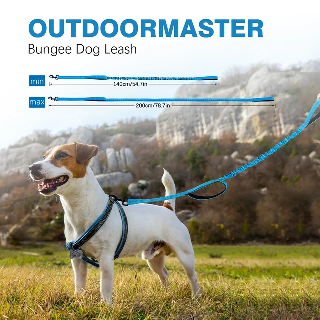 Bungee Dog Leash, Heavy Duty Dog Leash with Shock Absorption, 2 Padded Handles Training Leash, Improved Dog Safety and Comfort 2