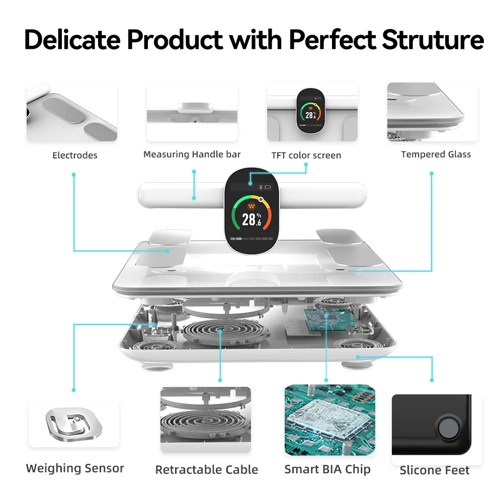 Fitdays Bilancia Intelligente 8 Elettrodi - Analisi Grasso Corporeo Segmentale Con Display A Colori Sul Manico - Ricaricabile USB-C