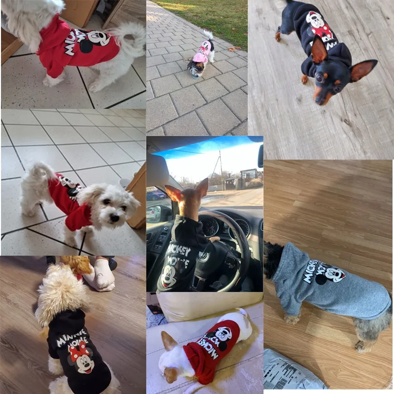 Pet Clothes Disney Anime Pattern Dog Mickey Minnie Hoodie Small And Medium Vest Outdoor Sweatshirt