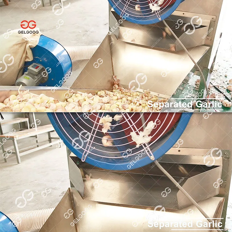 High Efficiency Automatic Garlic Breaking Peeling Sorting Machine Garlic Cleaner Machine Garlic Washing Machine For Sale 2