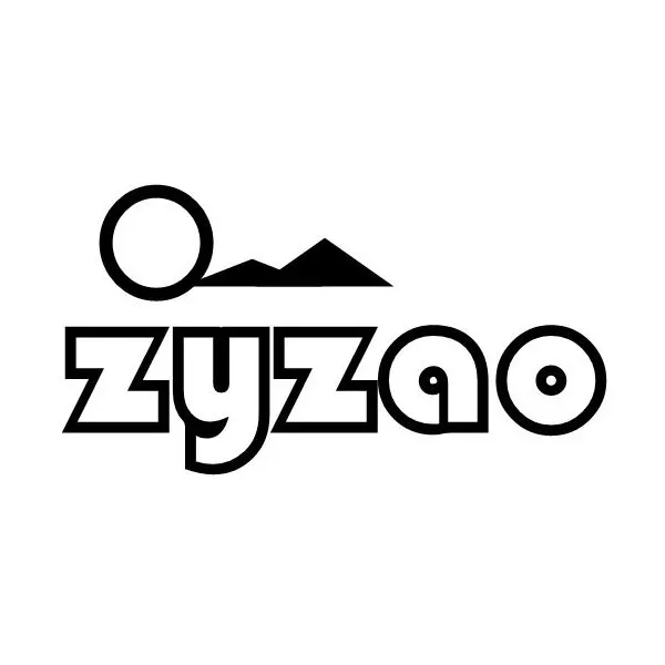 ZYZAO Lighting Store