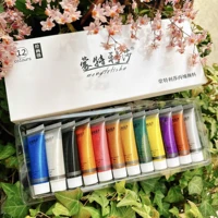 Pearlescent Acrylic Pigments Set 12ml*12 colours Metallic Acrylic Colours Golden Hand Paints Silver Waterproof Painting Paint 1