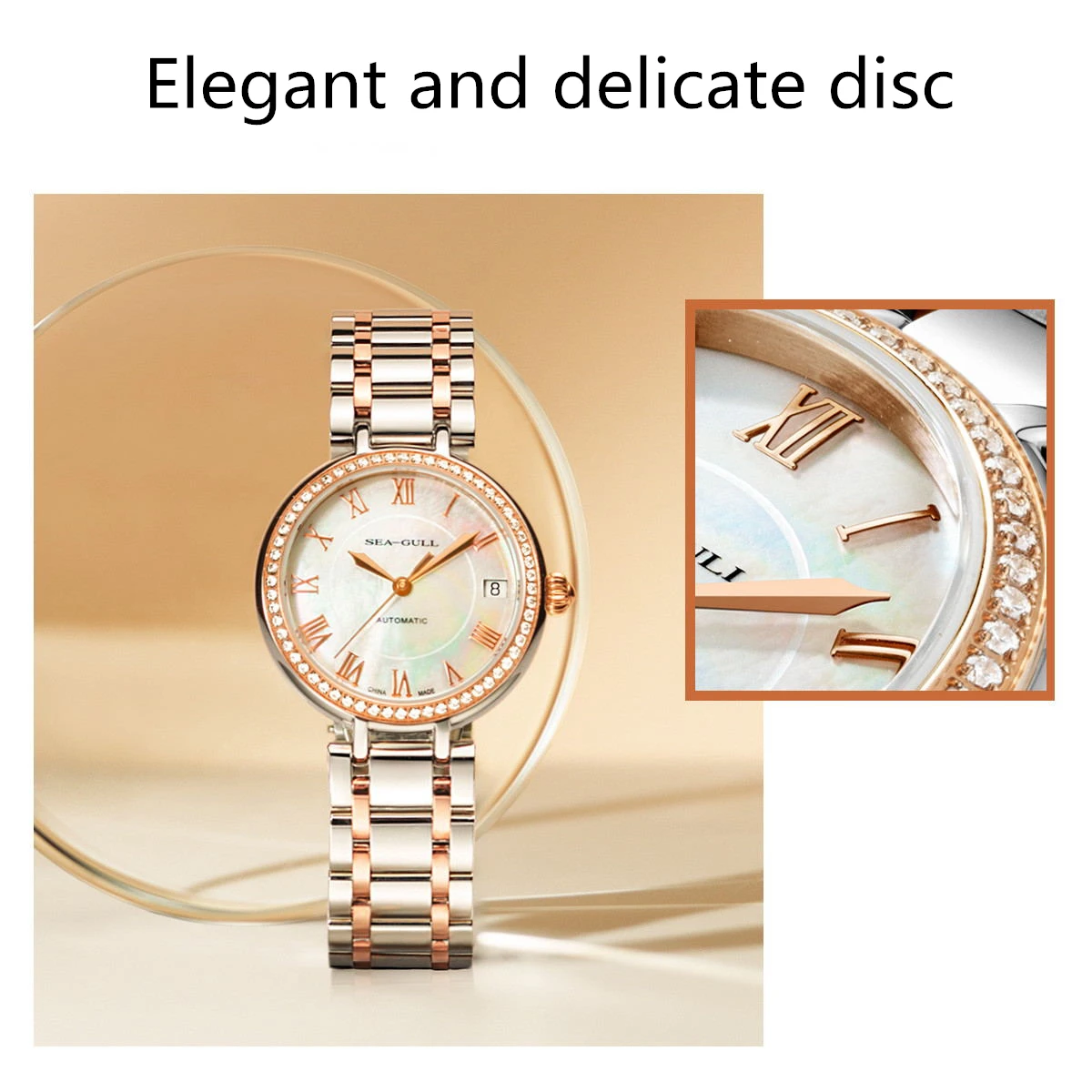 dsc-products