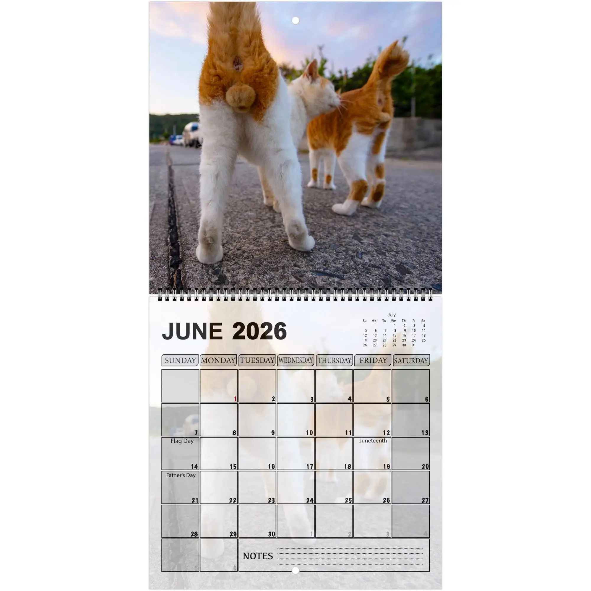 2026 Cute Cat Calendar - Monthly & Daily Planner with Adorable Frog-Eyed Kitten Design Perfect Gift for New Year Halloween