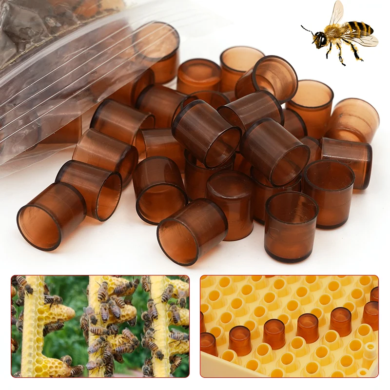 Bee King Queen 사육 컵, 다크 브라운 색상, 셀 박스 케이지, 방 양봉 용품, 플라스틱 장비, 360 개 