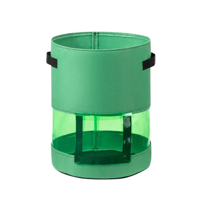 Green-10 Gallon
