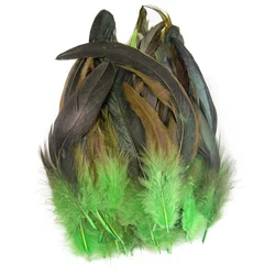 Natural Pheasant Feather Craft Set - 50PCS Decorative Plumes for DIY and Jewelry Projects (Apple green)