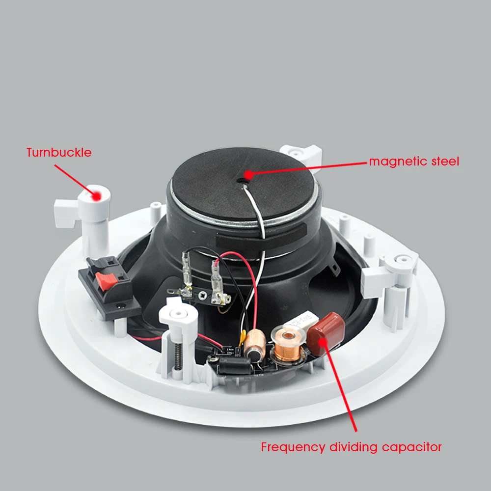 Рисунок 6 - Коаксиальный потолочный динамик