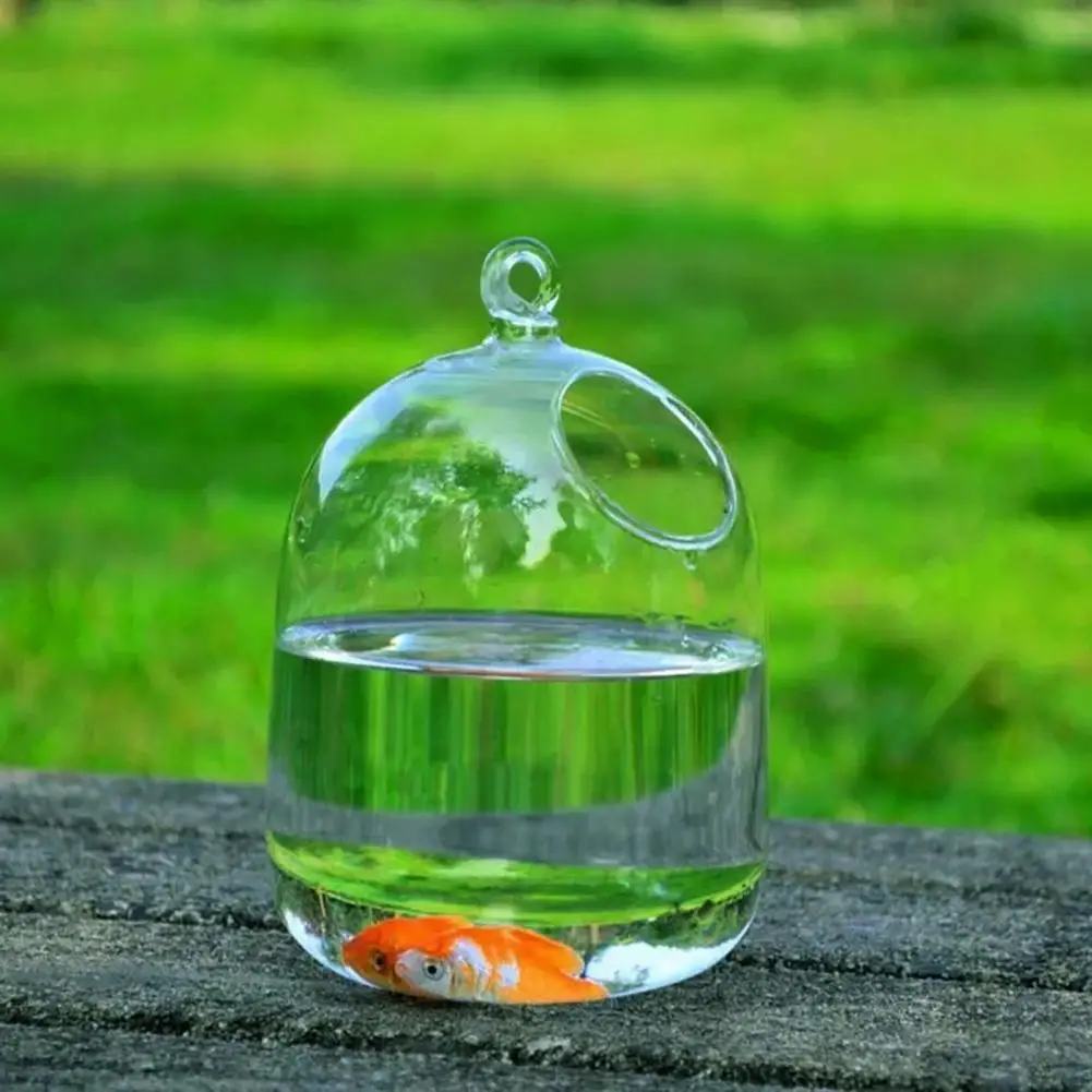 Vase Fishbowl Transparent Hanging Glass Creative Decor Fish Tank for Living Room fish aquarium
