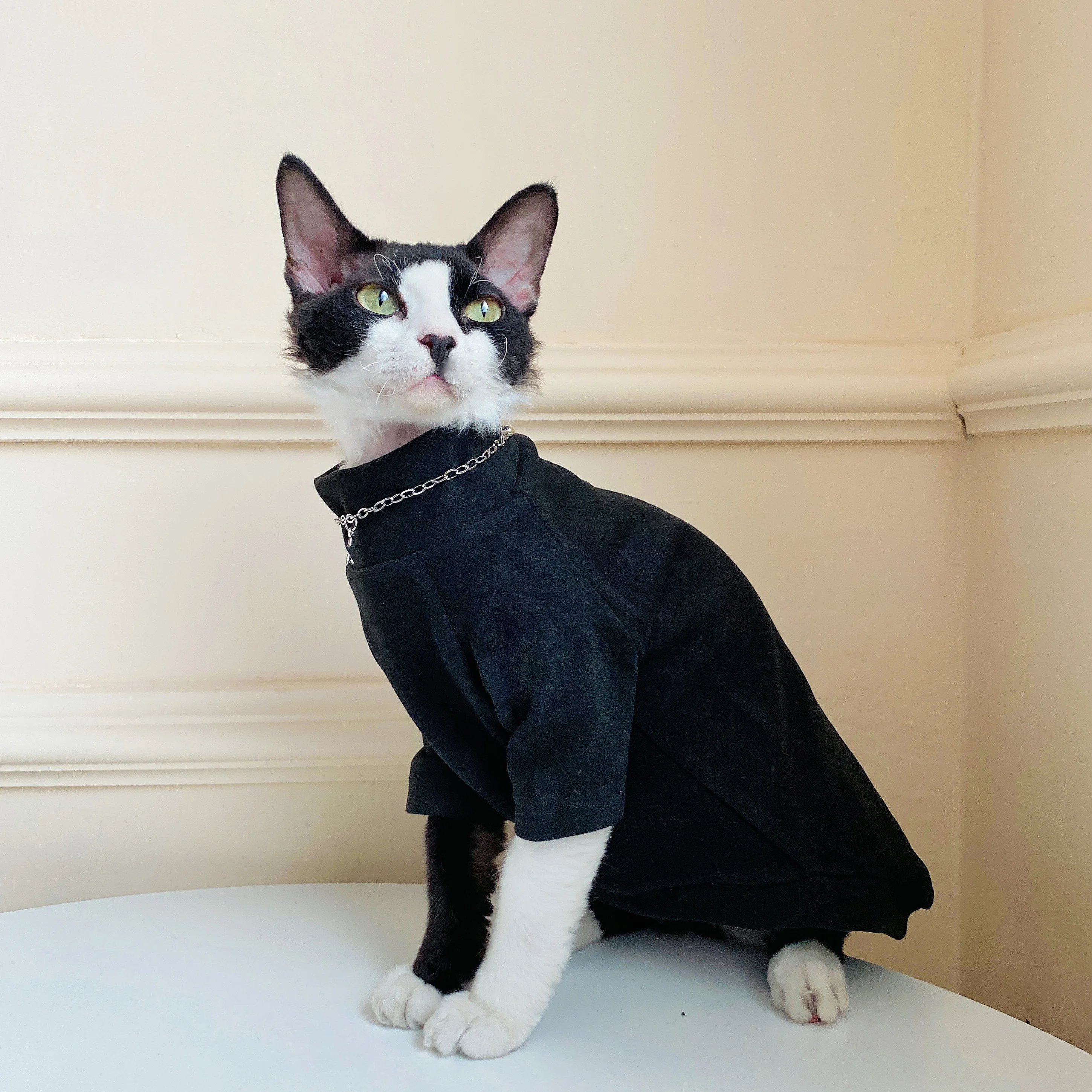 고양이 의류 겨울 플리스 코트, 스핑크스 고양이 따뜻한 맨투맨, 고양이 데본 렉스용 편안한 소프트 라운지웨어