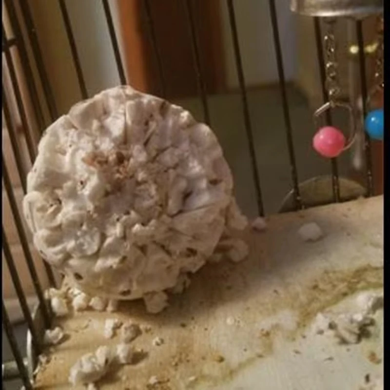 Bird Toys 3 Pieces Natural Sola Balls Soft Chew Shred Foraging Toy for Parrot Parrotlet Budgie Finch Macaw 6cm/2.36in - Image 4