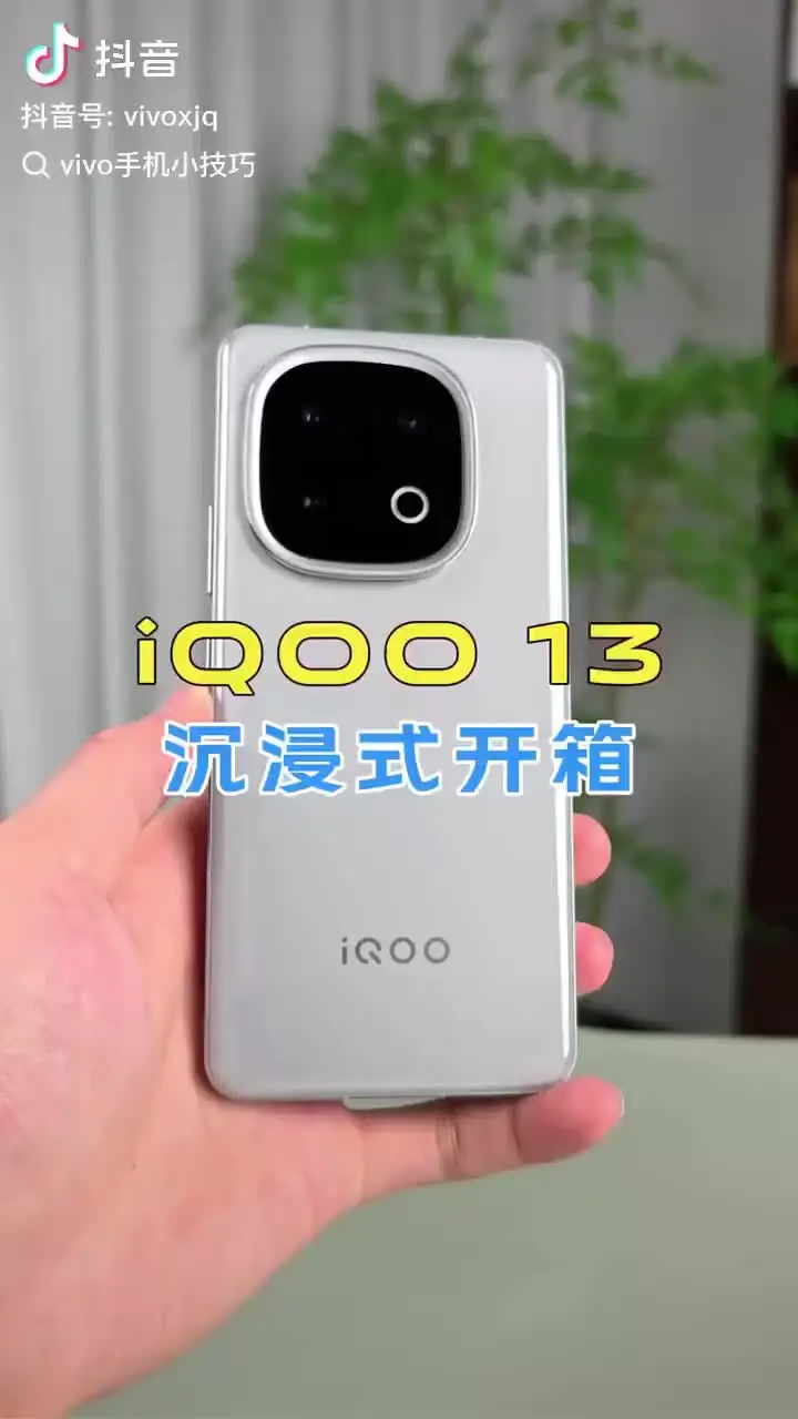 Original Vivo Iqoo 13 Mobile Phone 6.82