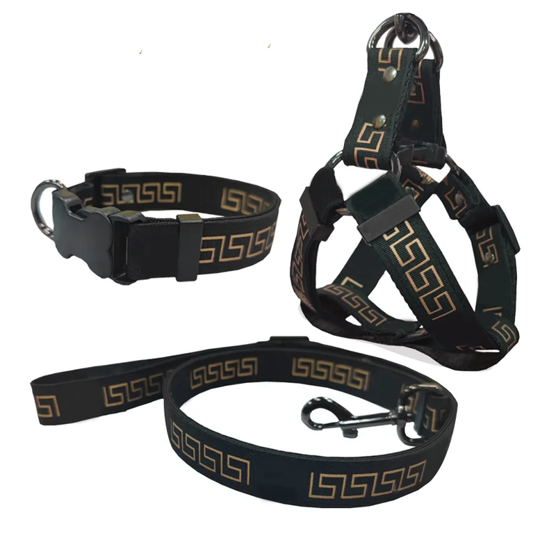 versace dog collar