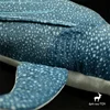 Whale Shark High Fidelity Anime Cute Ocean Plushie Gaint Fish Plush Toys Lifelike Animals Simulation Stuffed Doll Kawai Toy Gift 3