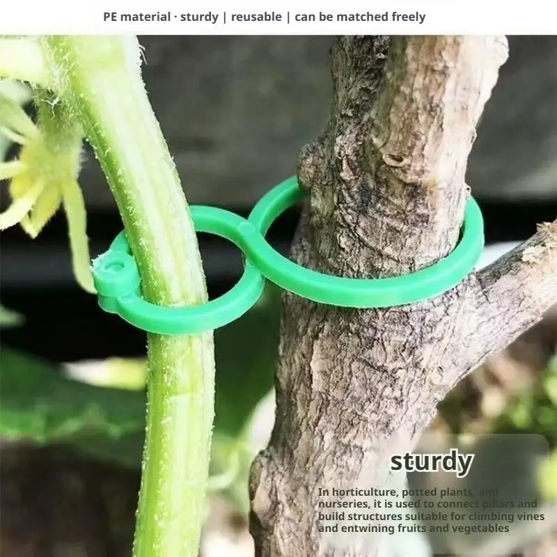 Plant Clips for Climbing Plants Tomato Trellis Garden Vine Strapping Bundled Buckle Clips Plastic Trellis Plant Support