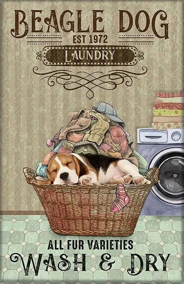 Cartello In Metallo Beagle Dog Wash And Dry Lavanderia Segno Segni Vintage Retro In Alluminio Targa In Latta Per Cucina Home Office Bar Caffetteria