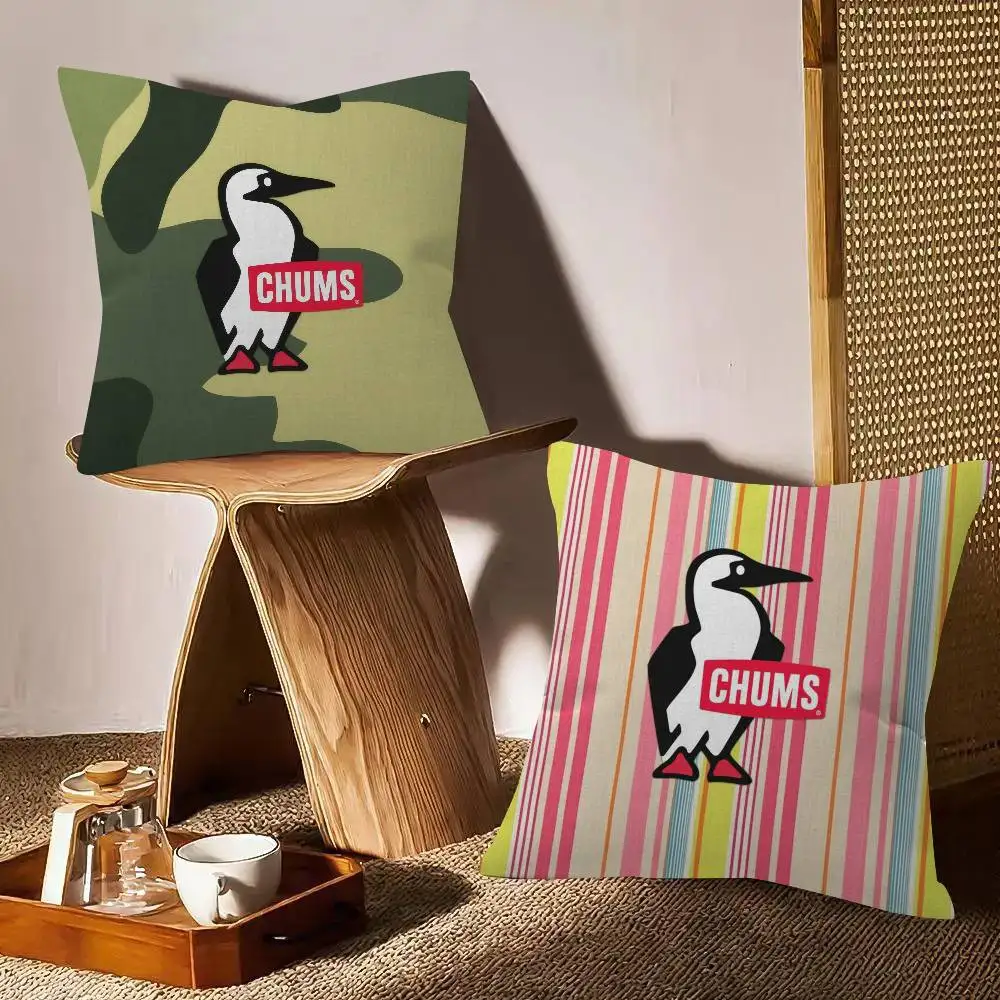 Toon Gift Decorative Pillowcase